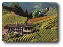 Monferrat et Langhe en Pi&eacute;mont